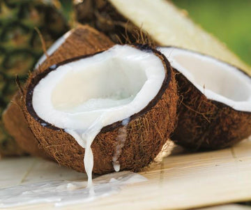 An Insiders Look: The Business of Ingredients